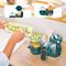 Кухонний комбайн Babymoov Nutribaby + Plus