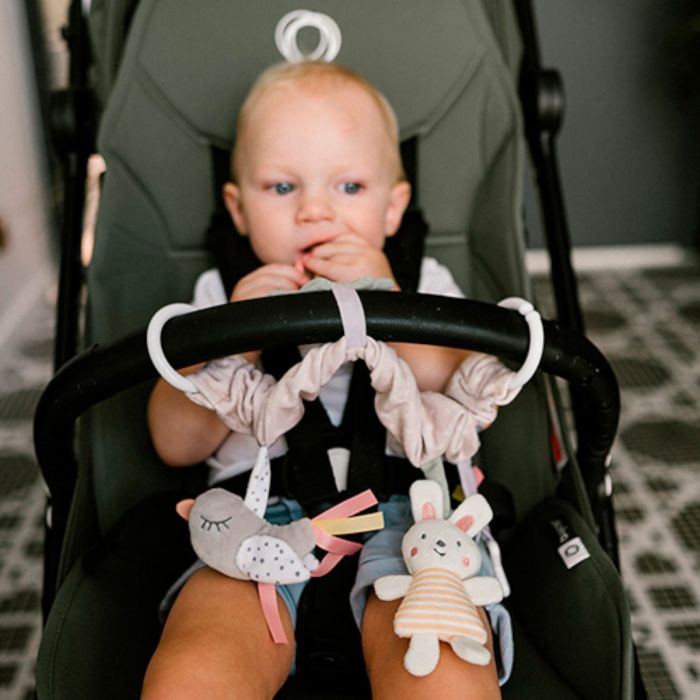 Развивающая игрушка-подвеска Nature BabyOno 1578