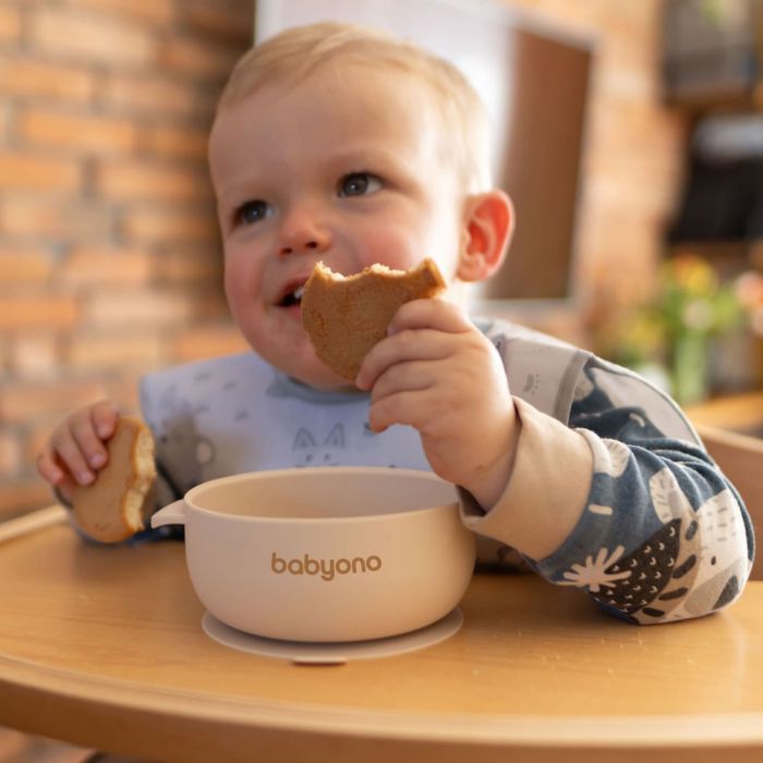 Детская силиконовая миска с присоской и крышкой BabyOno Детская силиконовая миска с присоской и крышкой BabyOno