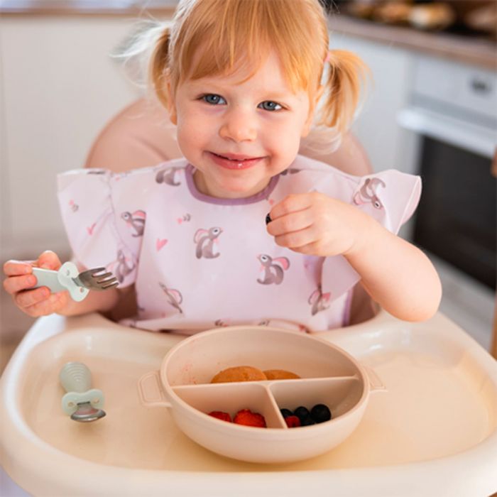 Детская силиконовая тарелка с присоской и крышкой BabyOno Детская силиконовая тарелка с присоской и крышкой BabyOno