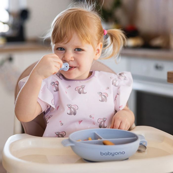 Детская силиконовая тарелка с присоской и крышкой BabyOno Детская силиконовая тарелка с присоской и крышкой BabyOno