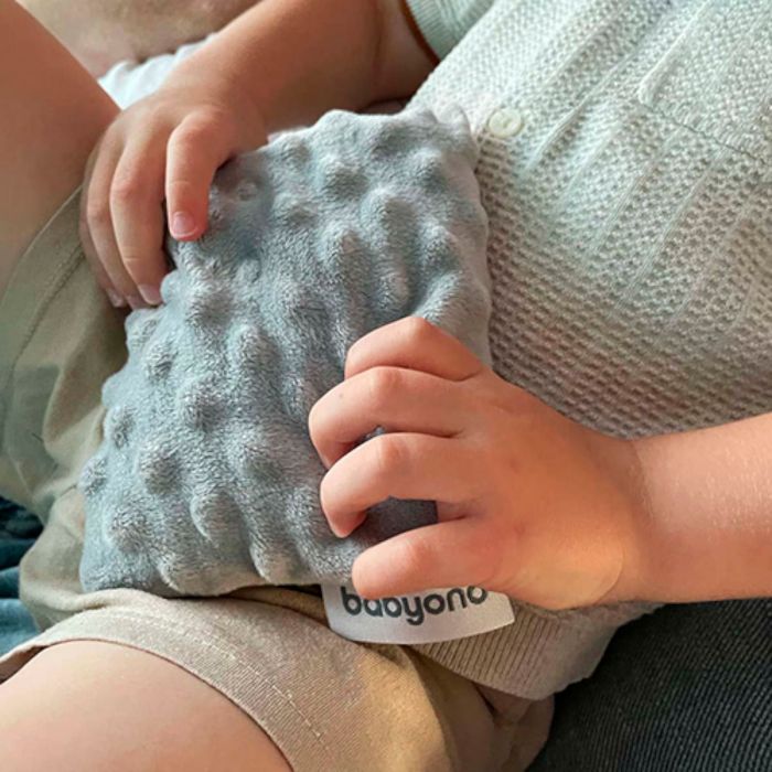 Подушка-грелка из косточек вишни и ароматом лаванды BabyOno Подушка-грелка из косточек вишни и ароматом лаванды BabyOno