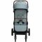 Прогулочная коляска Bebe Confort Indra
