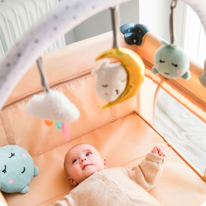 Дуга с игрушками MoMi Zizi