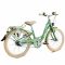 Двухколесный велосипед Puky Skyride 20-3 Alu