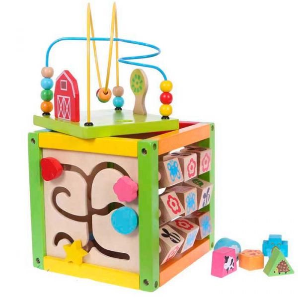 Деревянный сортер 5 в 1 EcoToys