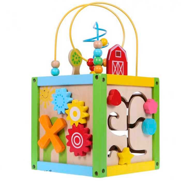 Деревянный сортер 5 в 1 EcoToys