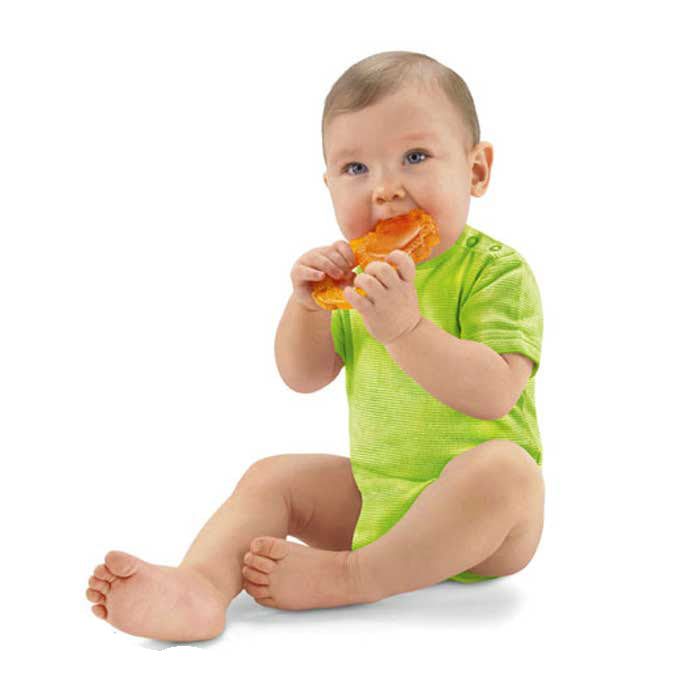 Прорізувач Слон і Лев Fisher-Price T7166