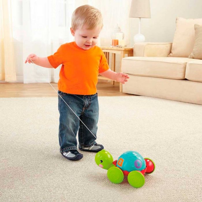 Каталка на веревке Ученая черепашка Fisher-Price Y8652