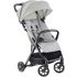 Прогулянкова коляска Inglesina Quid
