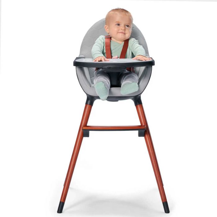 Стільчик для годування 2 в 1 Kinderkraft Finix