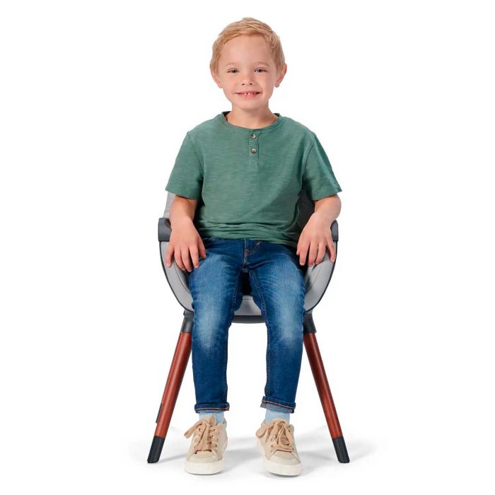 Стільчик для годування 2 в 1 Kinderkraft Finix