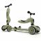 Самокат-беговел 2 в 1 Scoot and Ride Highwaykick 1 Самокат-беговел 2 в 1 Scoot and Ride Highwaykick 1