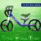 Складний біговел Smart Trike Balance Bike