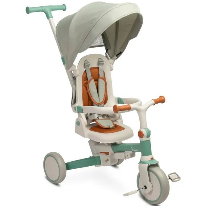 Детский трехколесный велосипед Caretero (Toyz) Faro
